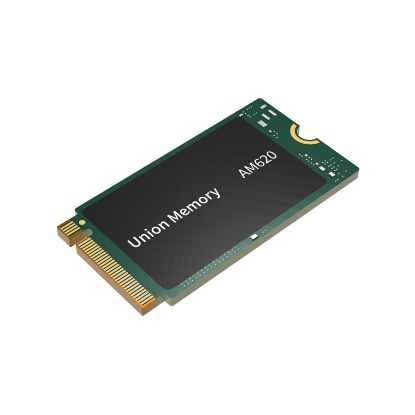 UNION 256GB 2242 AM620 2100- 1200MB/s M2 PCIe NVMe resmi