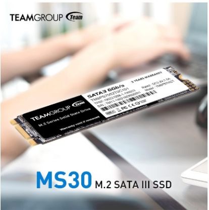 TEAM 256GB MS30 TM8PS7256G0C101 500- 300MB/s M2 SA resmi