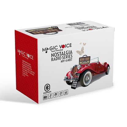 MAGICVOICE MV-114BT USB/SD/FM/BLUETOOTH DEST RADYO resmi
