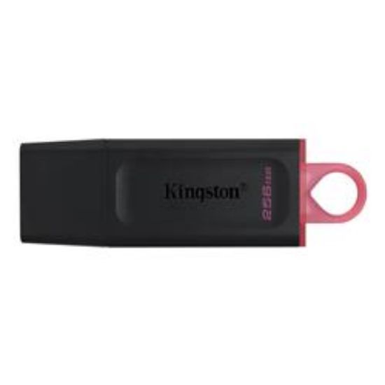 KINGSTON DTX/256GB 256GB USB3.2 (POŞETLİ) resmi