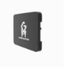 Game Master 240Gb Ssd Sata3 (550MB-S -500MB-S) SSD resmi